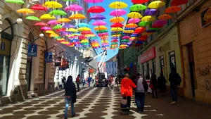 GALERIE FOTO 700 de umbrele colorate acoperă o stradă din Timişoara. Cele mai frumoase fotografii sunt premiate