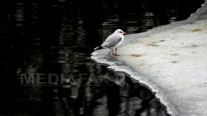 VREMEA va fi caldă pentru această perioadă. PROGNOZA METEO pentru primele zile ale săptămânii. Harta ANM