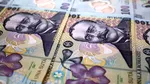 Ministerul Finanţelor a luat joi de la bănci 1,3 mld. lei, la o dobândă de 7,03%/an