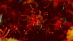 Bacteria „mâncătoare de carne” ajunge în apele de coastă. 5 oameni au murit în SUA
