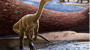 Cel mai vechi dinozaur din Africa a fost găsit în Zimbabwe. Are peste 230 de milioane de ani