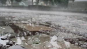 Cod galben de ploi şi vijelii în 15 judeţe din vestul ţării