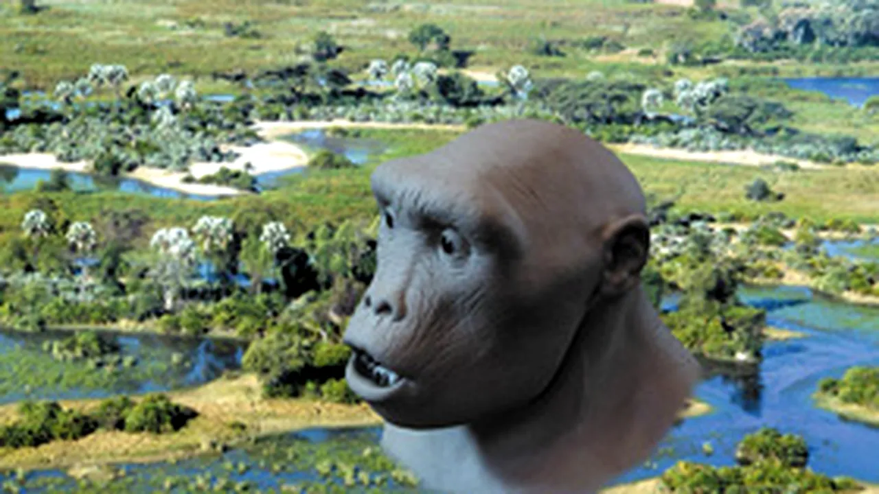 Omul din Toumai, cea mai veche specie de hominid