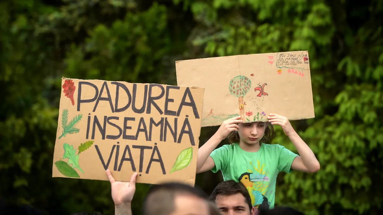 Noile modificări ale Codului Silvic, criticate de forestieri. „Legislaţia a devenit inaplicabilă”