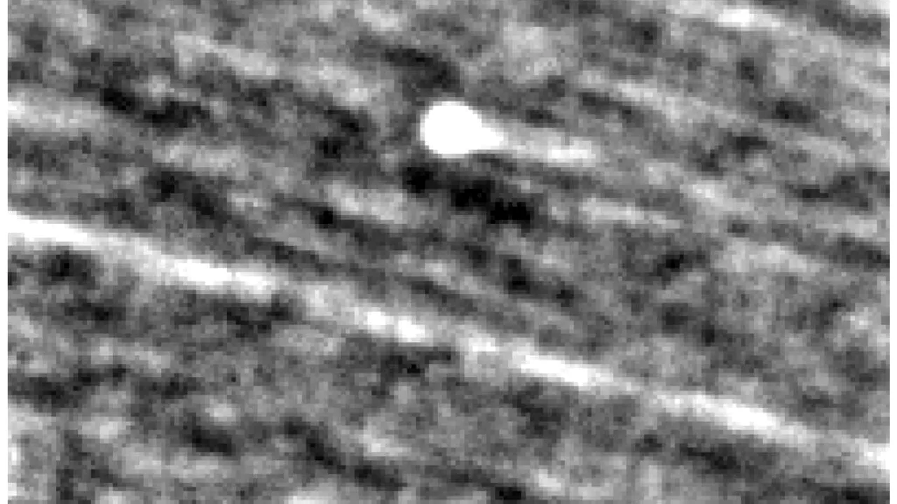 Un astrofizician de la Harvard susține că o navă de luptă extraterestră se apropie vineri de Pământ