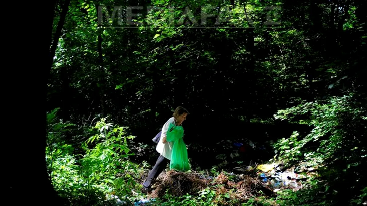Senatul a aprobat ca a treia sâmbătă din septembrie să fie Ziua de Curăţenie Naţională