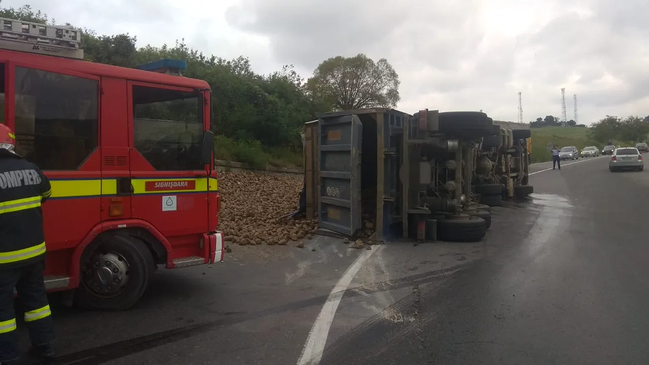 Accident dramatic pe A1: TIR încărcat cu animale, răsturnat pe autostrada Bucureşti-Piteşti, în această dimineaţă