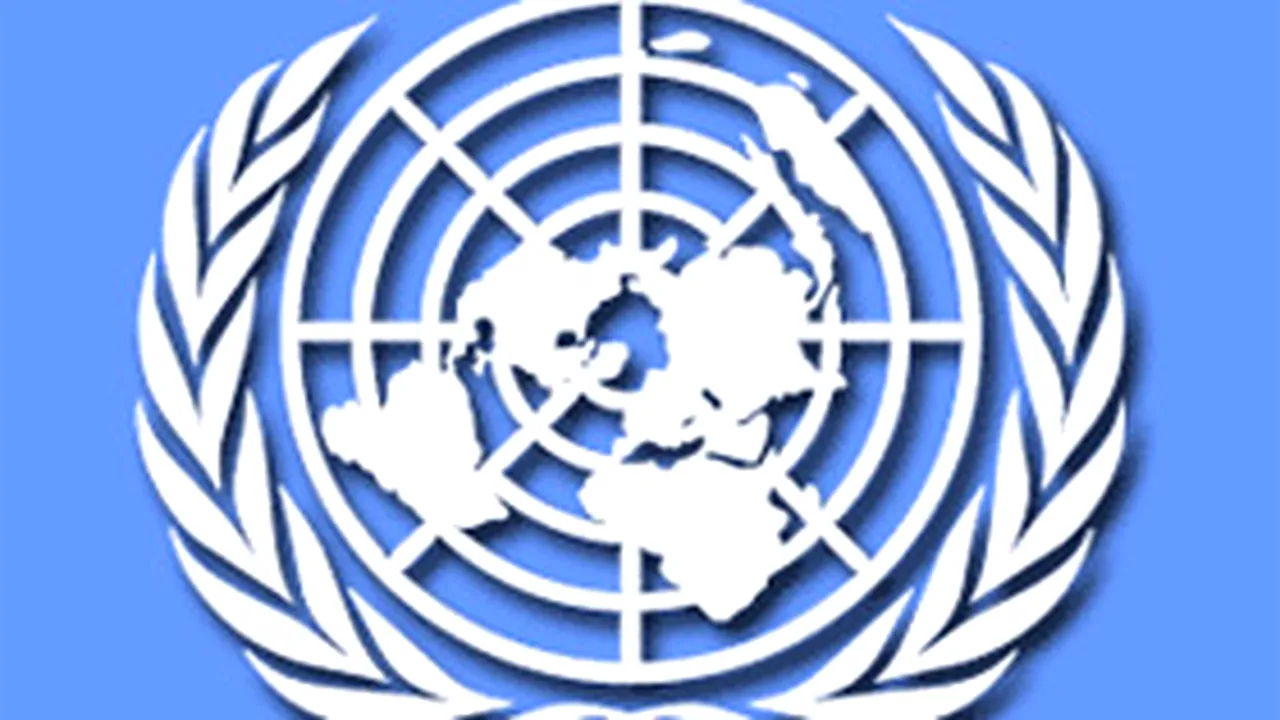 ONU anticipează pentru România o creştere economică de 5,5% în 2008