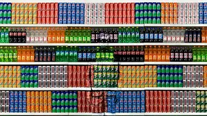 Omul-cameleon: Poate să dispară în orice peisaj - FOTO, VIDEO