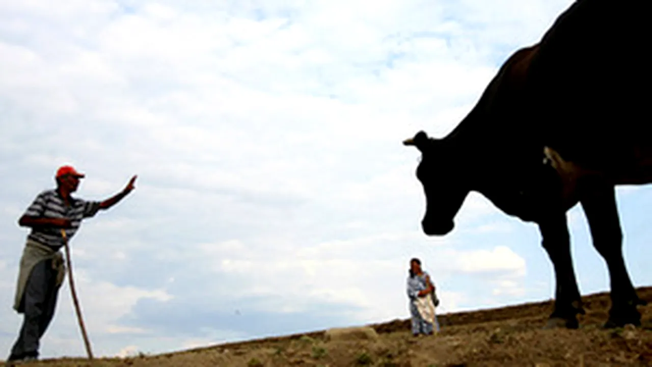 Rural Devt Projs Exceeding EU’s EUR700M Limit To Be Financed From State Budget - PM