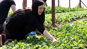 Liceul unde elevii fac profit din munca lor şi fondul şcolii a devenit o amintire | GALERIE FOTO