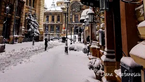 1 Decembrie. Dana Ştefănescu, cucerită total de fotografie, lasă în spate o carieră de avocat: „Iubesc ţara asta! Avem tot ce ne trebuie