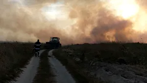 Zeci de hectare de vegetaţie au ars în zona plajei de la Vadu, în Rezervaţia Biosfera Delta Dunării - FOTO