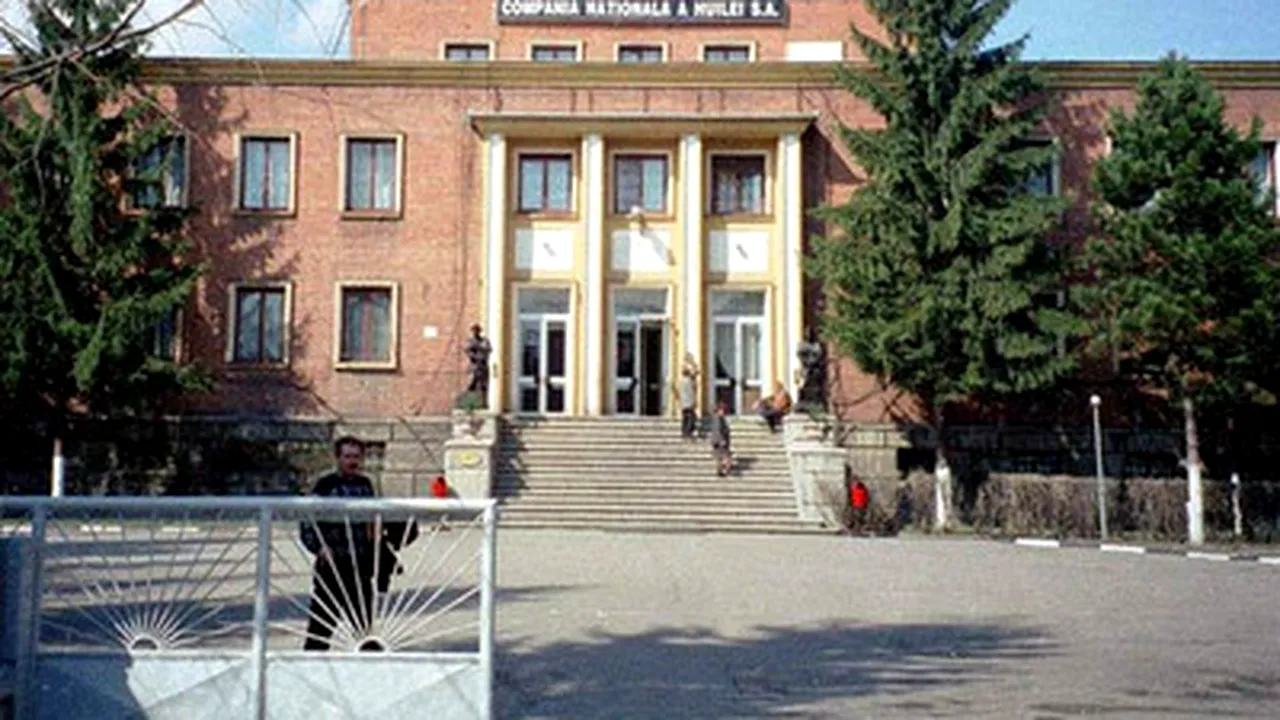 Romania Econ Min Says Pitcoal Miner CNH Won’t Shut Down