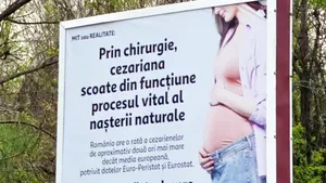 „În 2026, așa ceva?” Senatoarea Cynthia Păun cere intervenție de urgență după apariția unor panouri controversate