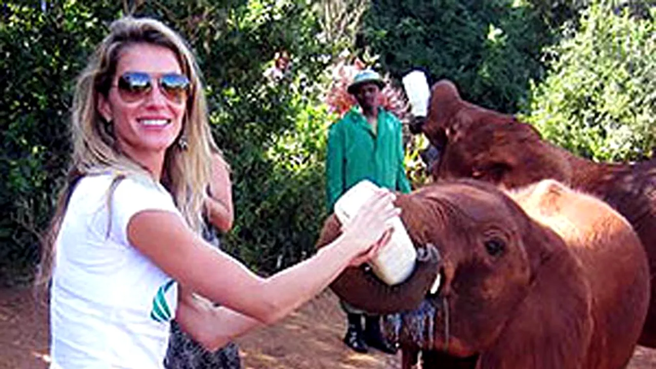 Gisele Bündchen a hrănit cu biberonul un pui de elefant