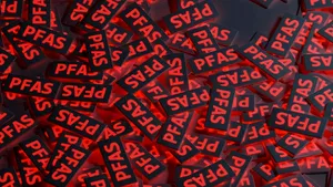 UE plănuieşte interzicerea „chimicalelor veşnice” în produse de consum