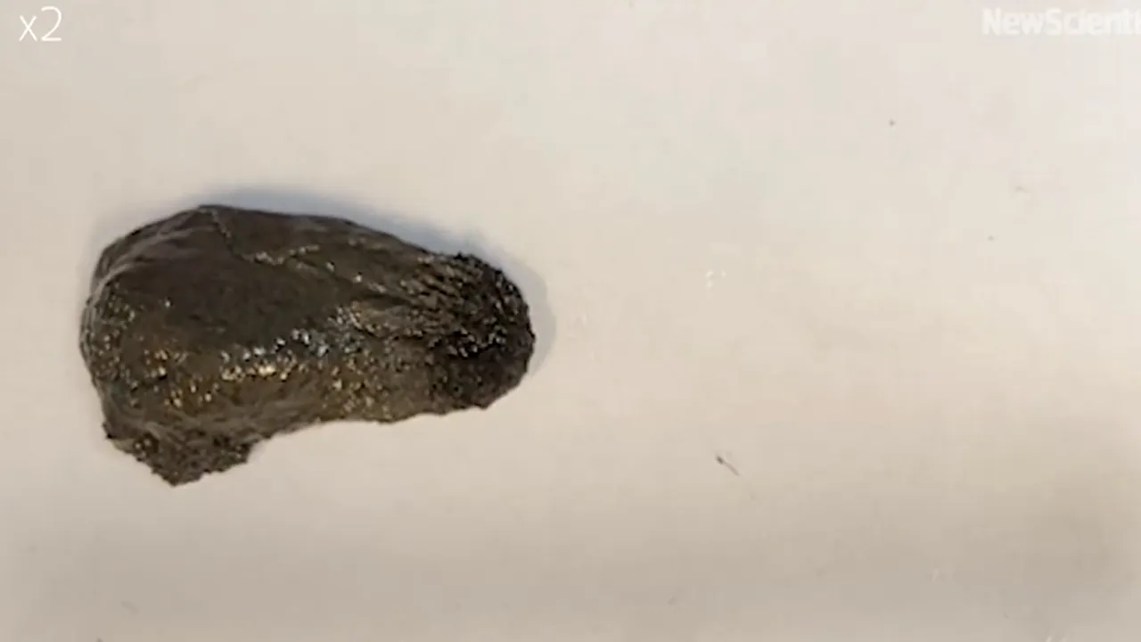 VIDEO Oamenii de ştiinţă au creat un slime magnetic mobil care ar putea fi folosit în sistemele digestive umane