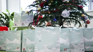 dm drogerie markt România susţine MagiCAMP cu 15.000 de euro 