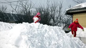 Ministerul Educaţiei: Cursurile au fost suspendate vineri în 96 de şcoli din judeţele Vaslui, Galaţi, Bacău şi Iaşi