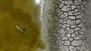 Europa se usucă sub efectul valurilor de căldură. România pierde peste un milion de hectare de culturi, iar experții avertizează că seceta nu mai este cauzată doar de lipsa ploilor