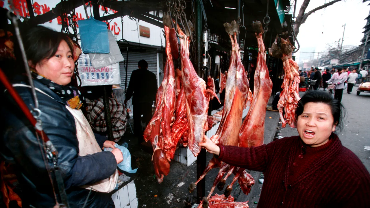 Câinii şi pisicile NU mai sunt pe lista animalelor comestibile din China
