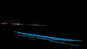 Fenomen spectaculos pe malul Mării Negre: valurile au emis lumină