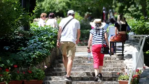 INS: Populația României în scădere la 1 ianuarie 2025. Soldul migrației internaționale pozitiv, dar insuficient