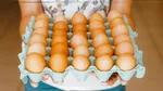 Ouăle ecologice ar putea avea un impact mai mare asupra climei decât cele produse în ferme intensive, arată un studiu
