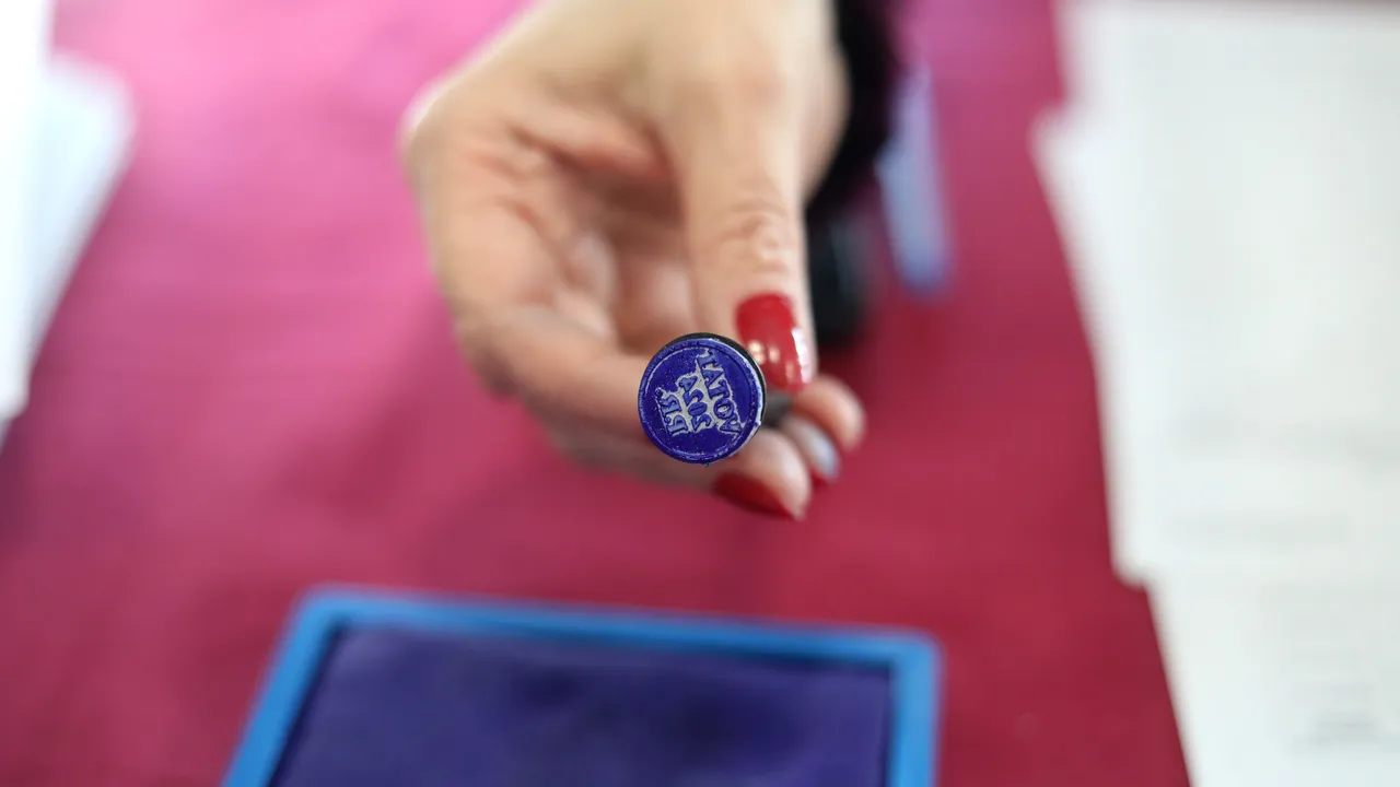 Alegeri parlamentare 2024. Rezultate finale în judeţul Giurgiu. Iată cum au votat giurgiuvenii