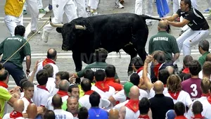 Victime la Pamplona: Zeci de persoane strivite sau împunse într-o busculadă în timpul cursei cu tauri - FOTO
