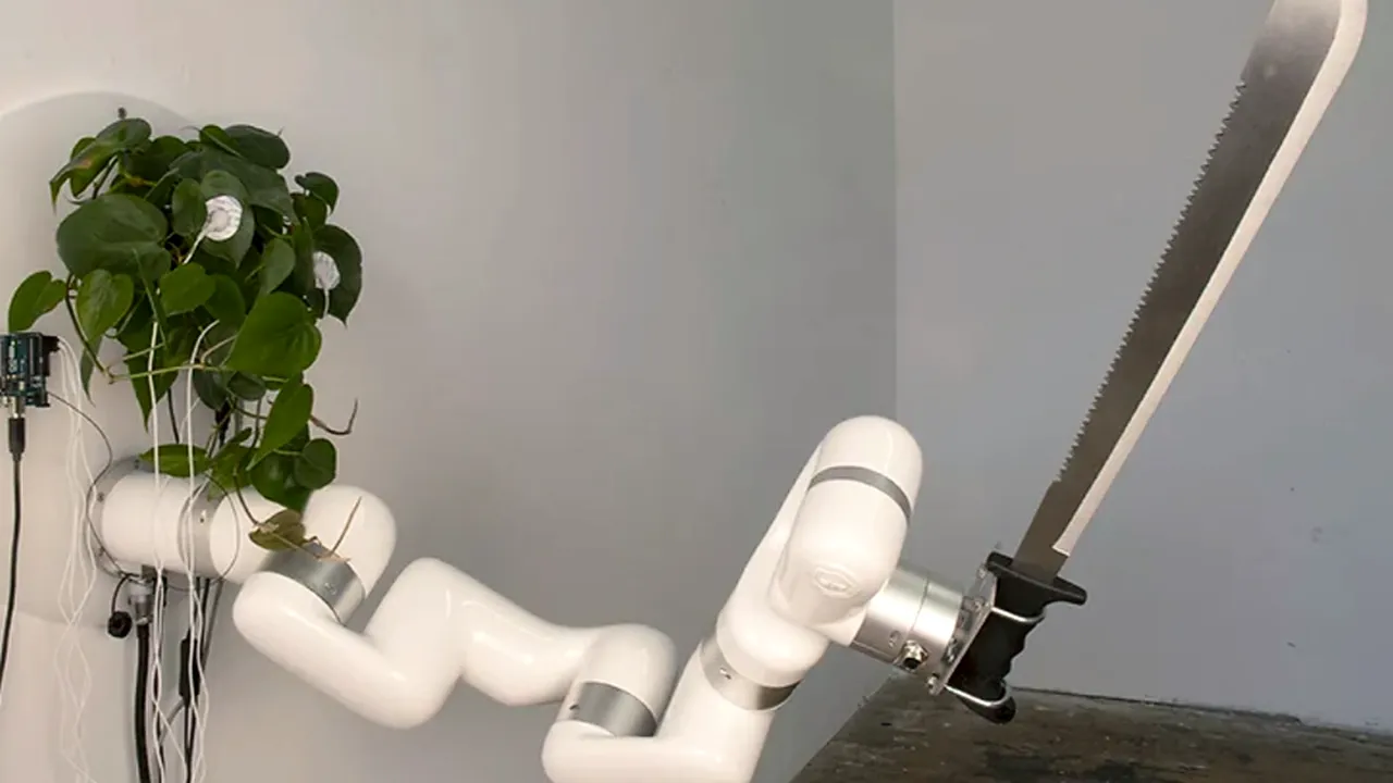 Braţ robotizat controlat de o plantă de casă prin intermediul unor senzori fixaţi pe frunzele acesteia