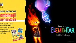 Gusturi elementare Combinaţii Surprinzătoare