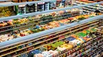 Anunțul de angajare care a stârnit indignare în Italia: 50 de euro pentru opt ore de muncă. „Și încălțămintea de protecție o cumperi tu”