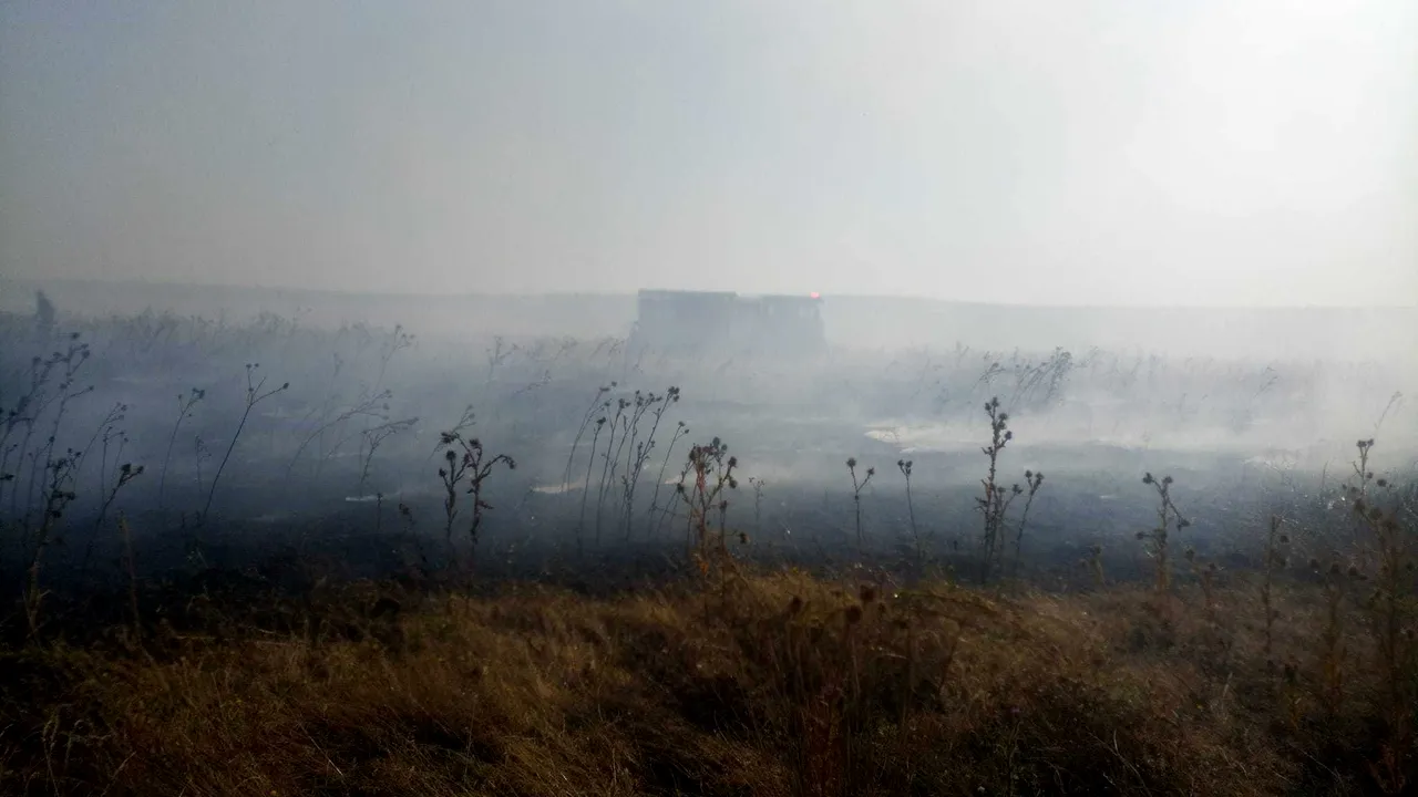 Incendiu puternic la o stână şi în poligonul Babadag în urma unor trageri cu tunul efectuate de militari francezi