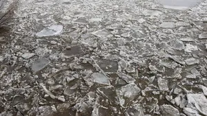 GALERIE FOTO Imagini spectaculoase pe râul Mureş: Oamenii vin să vadă podurile de gheaţă, specialiştii sunt atenţi la inundaţii