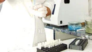 Plămânii artificiali, la un pas de a deveni realitate