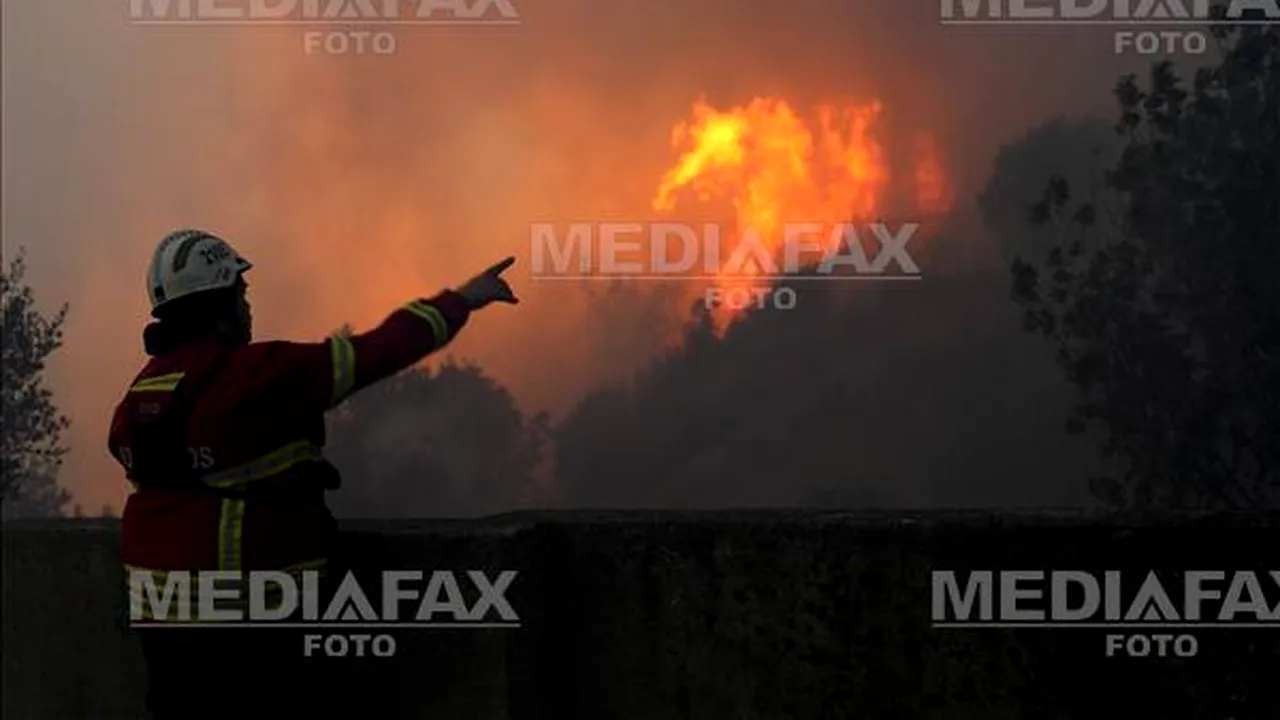 Incendiu uriaş într-un parc natural din Portugalia. Peste 600 de pompieri se luptă cu flăcările