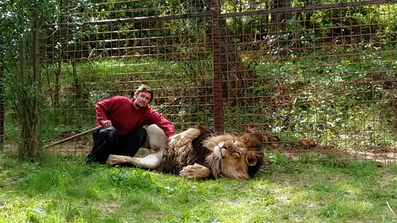 Sfârşit tragic pentru un bărbat care făcea comerţ ilegal cu animale sălbatice. Poliţiştii l-au găsit în curte sfâşiat