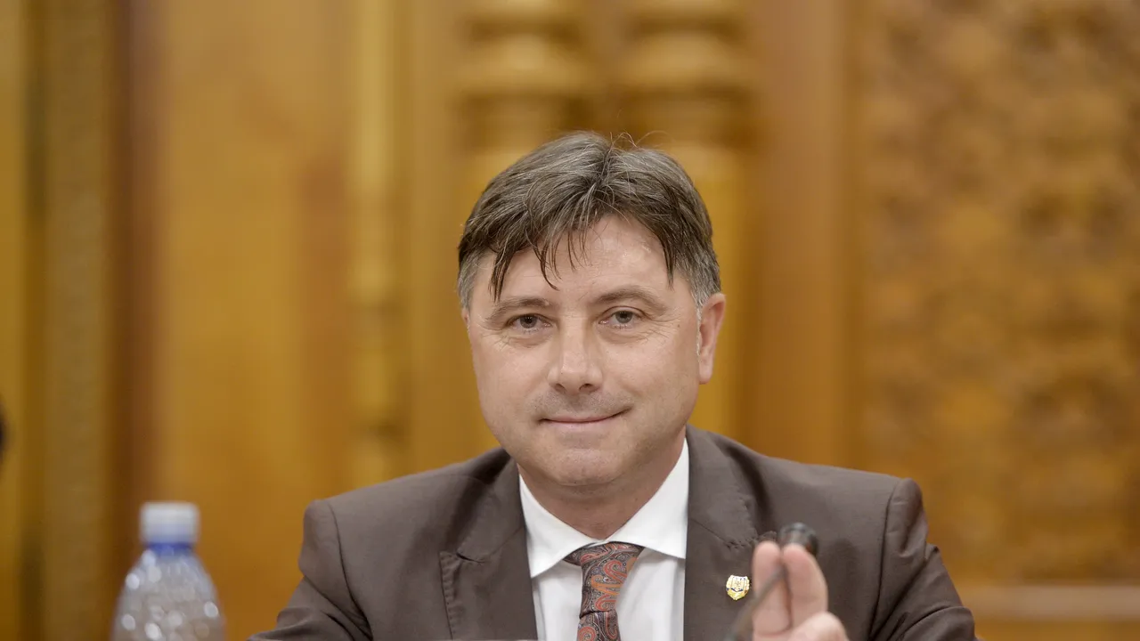 Comisia juridică a Senatului dezbate miercuri cererea DNA vizându-l pe ministrul Viorel Ilie