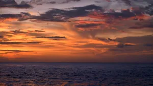 Un mister nerezolvat. Creatura marină uriașă pe care cercetătorii nu au văzut-o niciodată