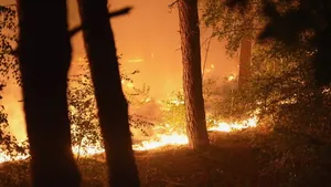 O rezervație naturală din Țările de Jos, devastată de un incendiu de pădure