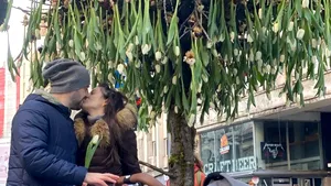 Copacul cu 600 de lalele din mijlocul Bucureştiului. Ce spune Nicu Bocancea, master florist internaţional despre creaţia inedită
