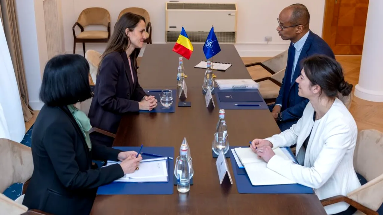 Oana Țoiu s-a întâlnit cu coordonatorul special NATO pentru amenințări hibride: România este un hub de expertiză cibernetică pregătit să ofere soluții și lecții învățate întregii Alianțe