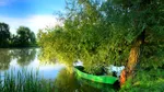 Delta Dunării – Între vis, ape și cântecul păsărilor