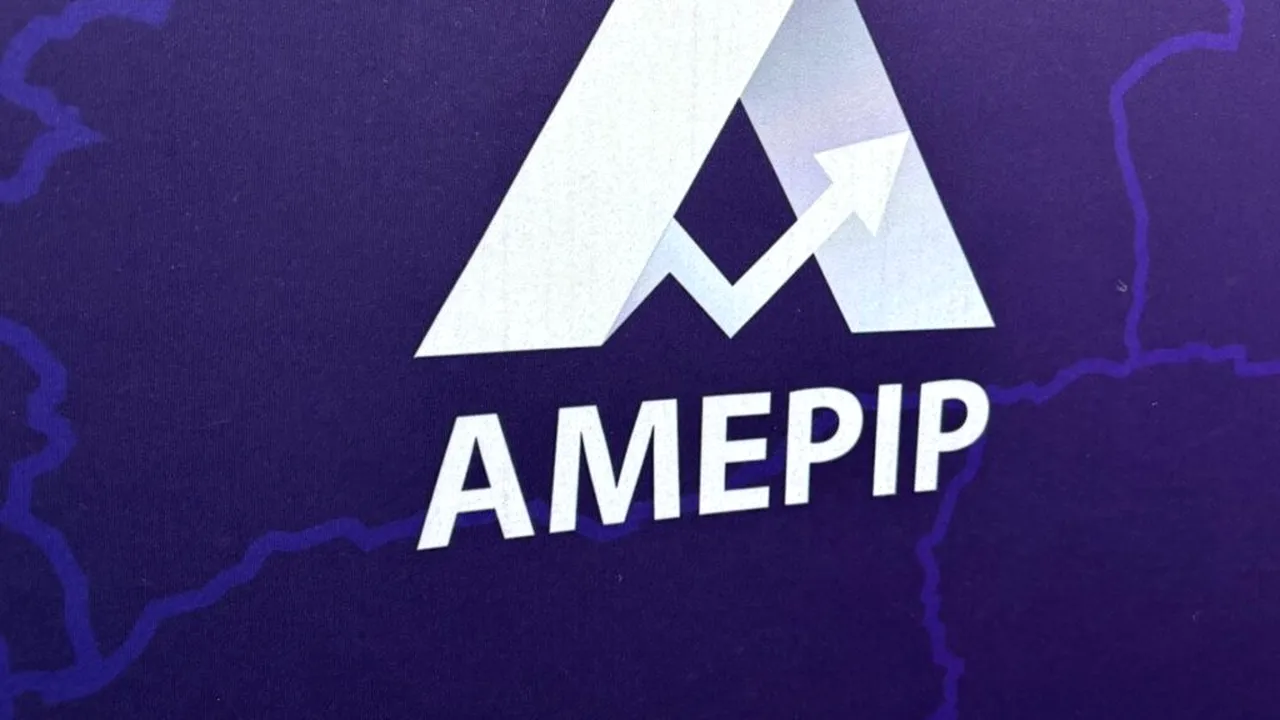 Cine face parte din conducerea AMEPIP? Anișoara Ulcelușe, șefă de departament la Comisia Europeană și director de finanțe la mai multe firme din mediul privat