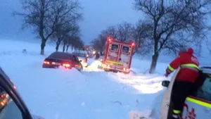 Maşini blocate în coloane pe DN 22. În mai multe şcoli din judeţul Tulcea cursurile sunt suspendate | FOTO, VIDEO