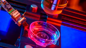 Mini-creiere umane pentru a alimenta computerele. Procesul începe cu celule stem