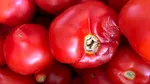 ANPC: nereguli la 121 de tone de legume într-o singură platformă en-gros din București-Ilfov