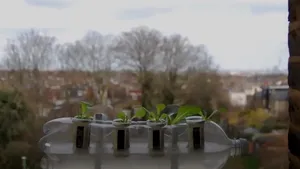 ZERO WASTE Uite cum poţi să transformi pet-urile de plastic în grădini hidroponice VIDEO